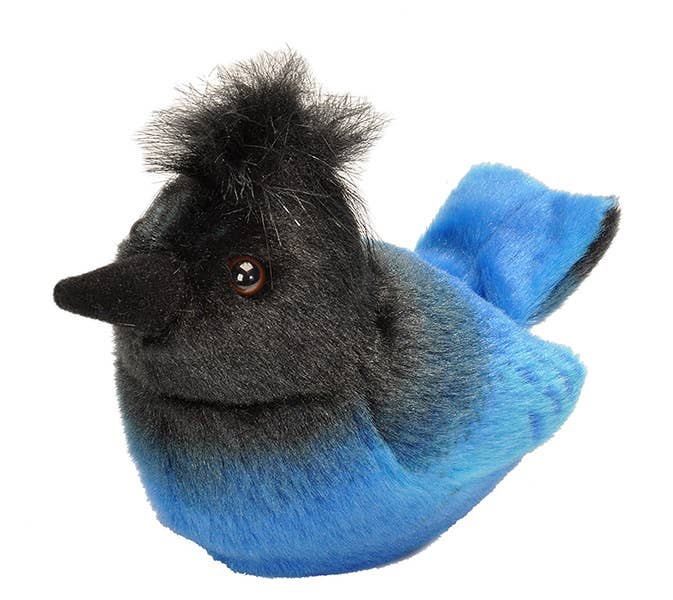Steller's Jay Stuffed Animal
