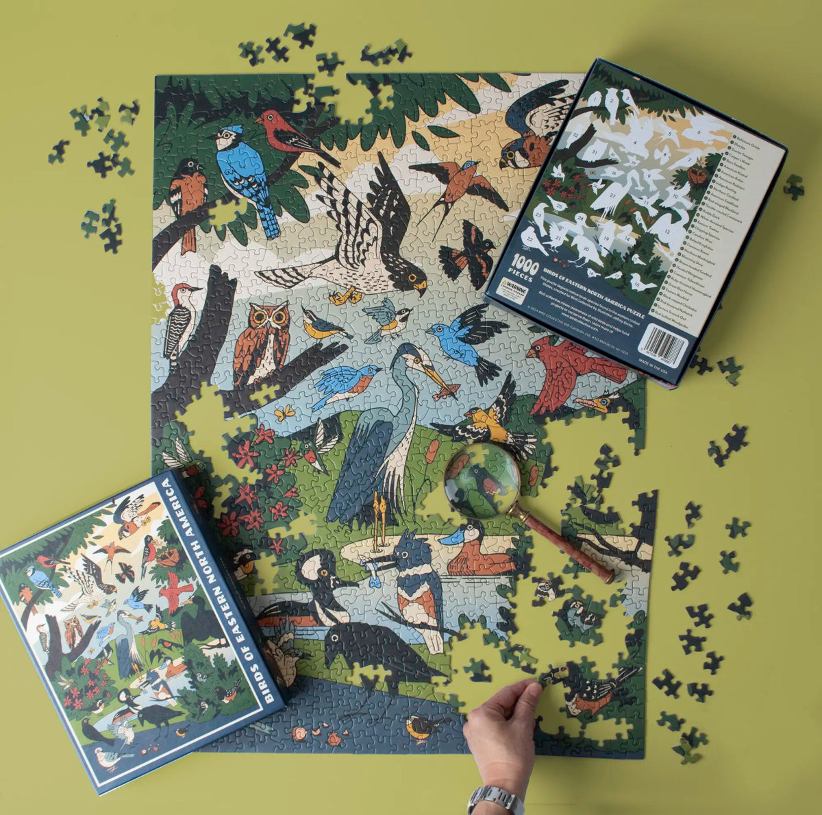 Birds of Eastern North America Puzzle 2 Birds of Eastern North America Puzzle