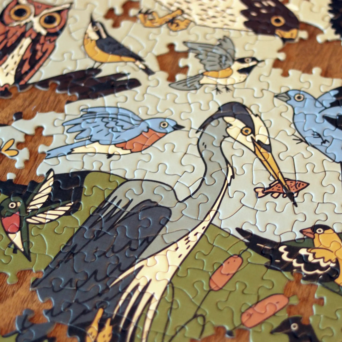 Birds of Eastern North America Puzzle 4 Birds of Eastern North America Puzzle