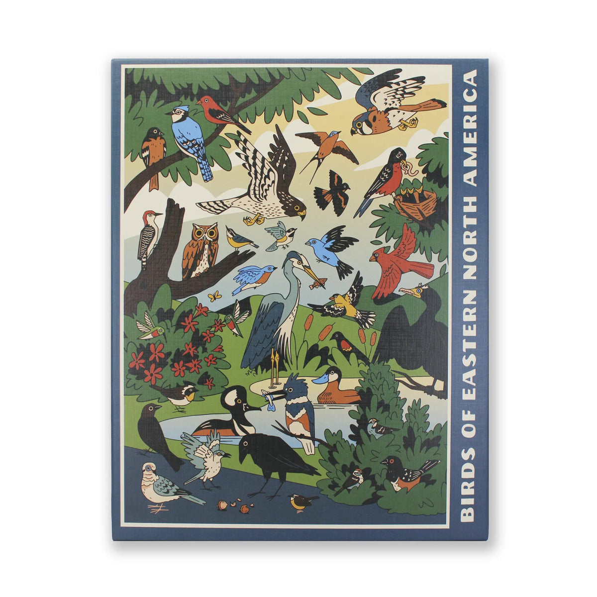 Birds of Eastern North America Puzzle 5 Birds of Eastern North America Puzzle