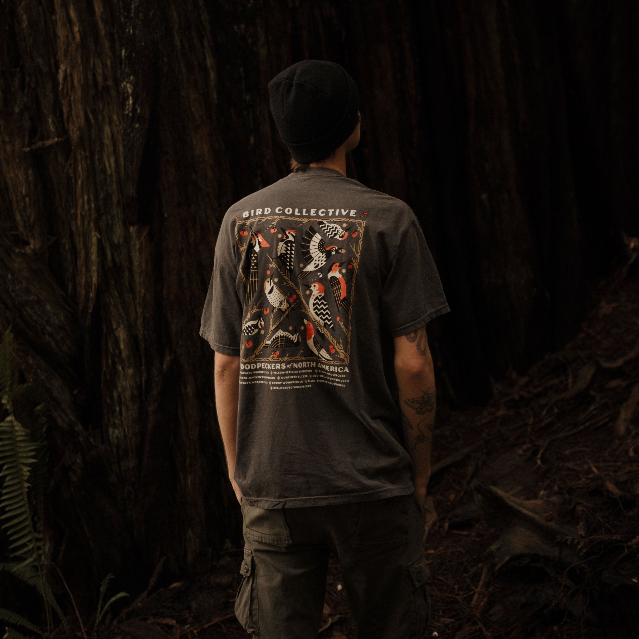 Woodpeckers of North America T-Shirt 2 Woodpeckers of North America T-Shirt