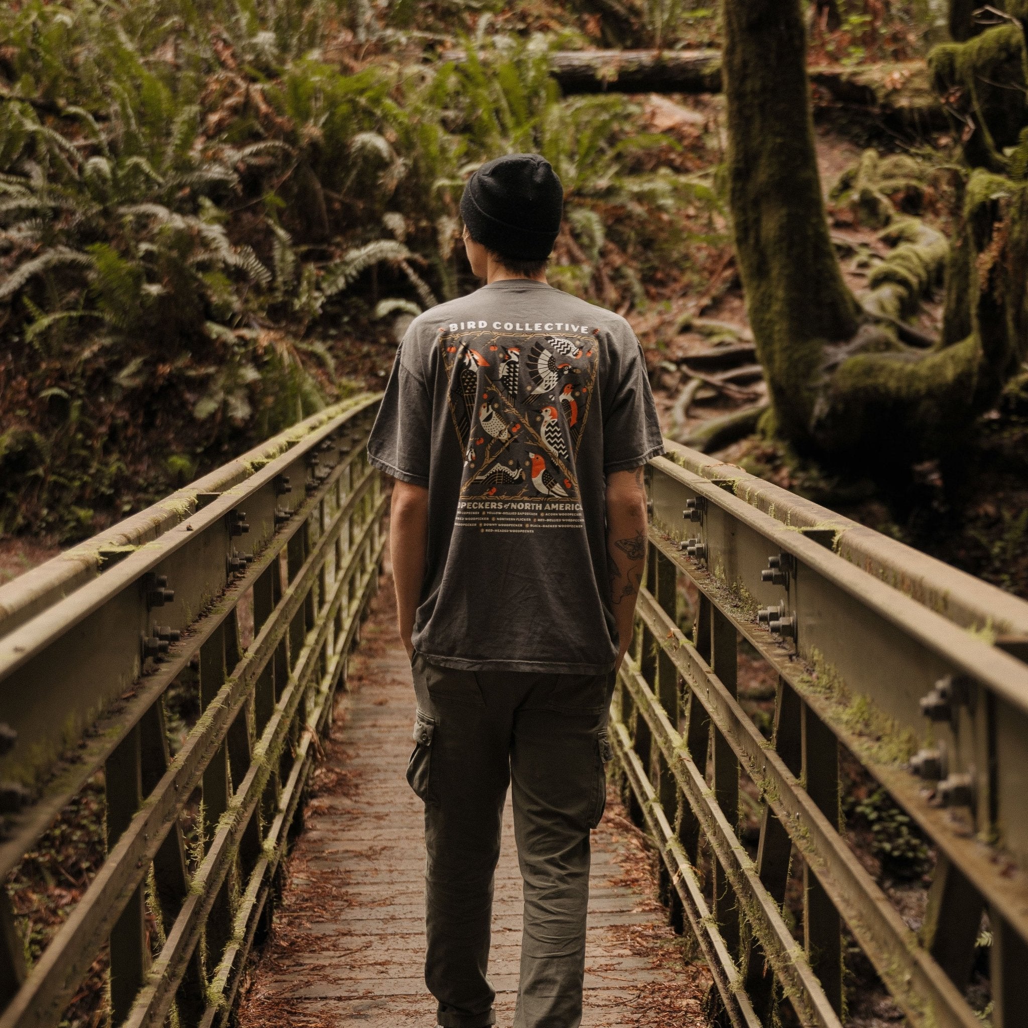 Woodpeckers of North America T-Shirt 3 Woodpeckers of North America T-Shirt