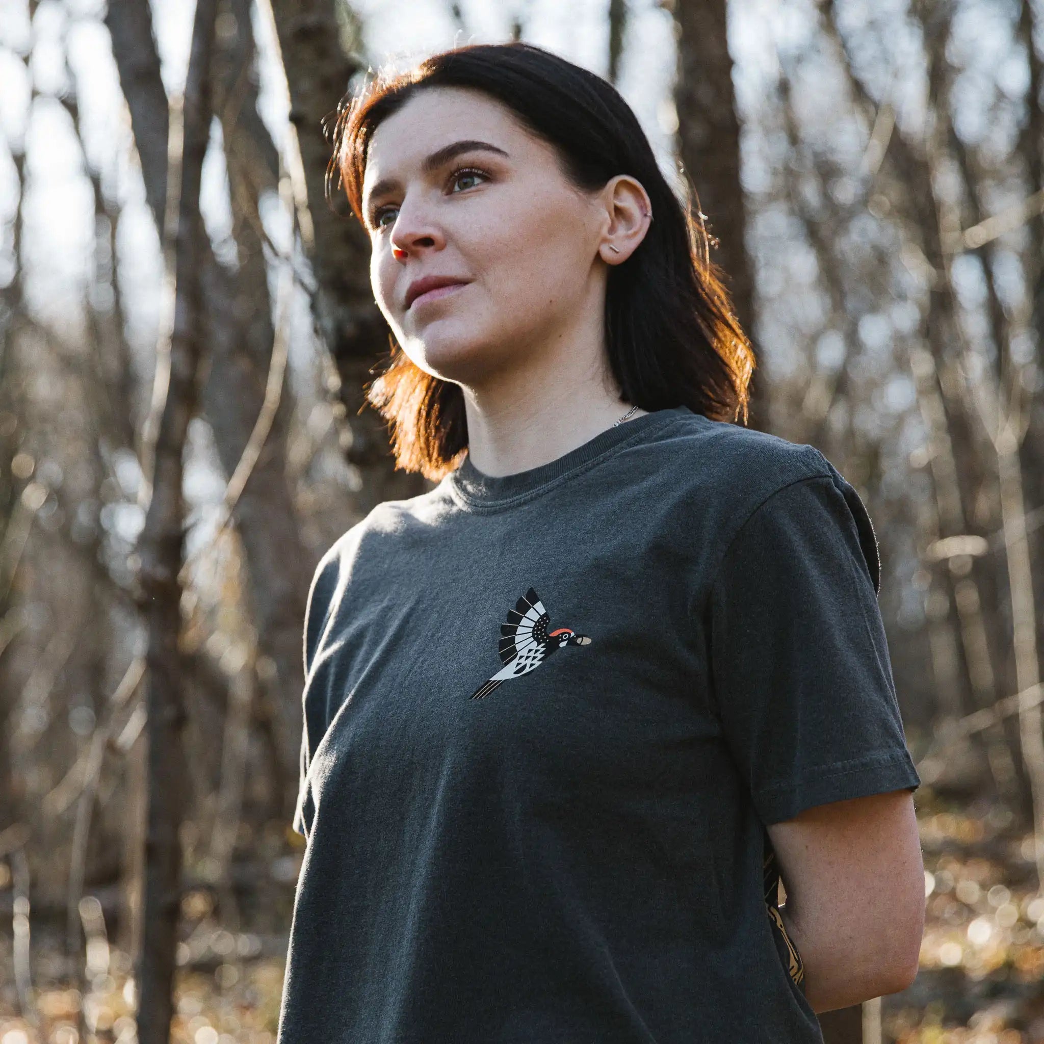 Woodpeckers of North America T-Shirt 4 Woodpeckers of North America T-Shirt