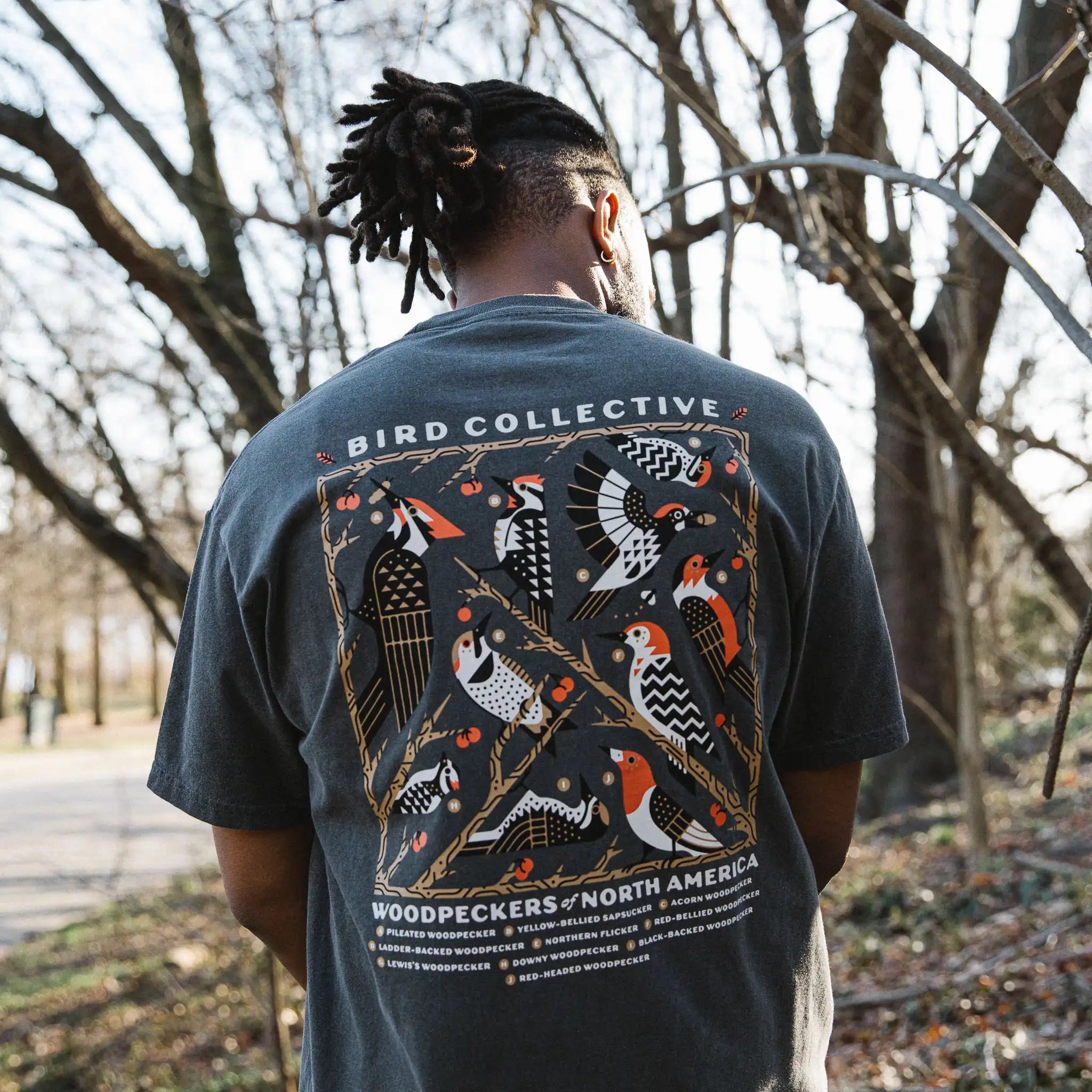 Woodpeckers of North America T-Shirt 5 Woodpeckers of North America T-Shirt