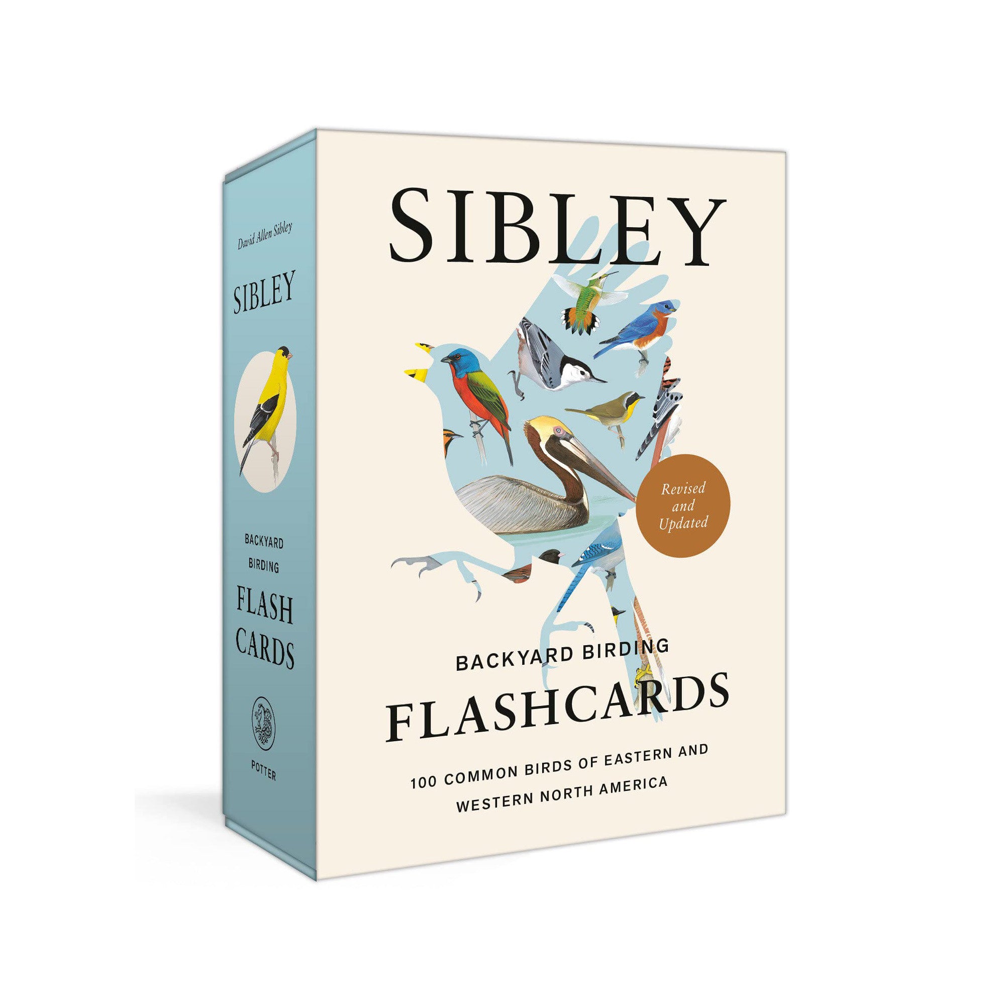 Sibley Backyard Birding Flashcards, Revised and Updated