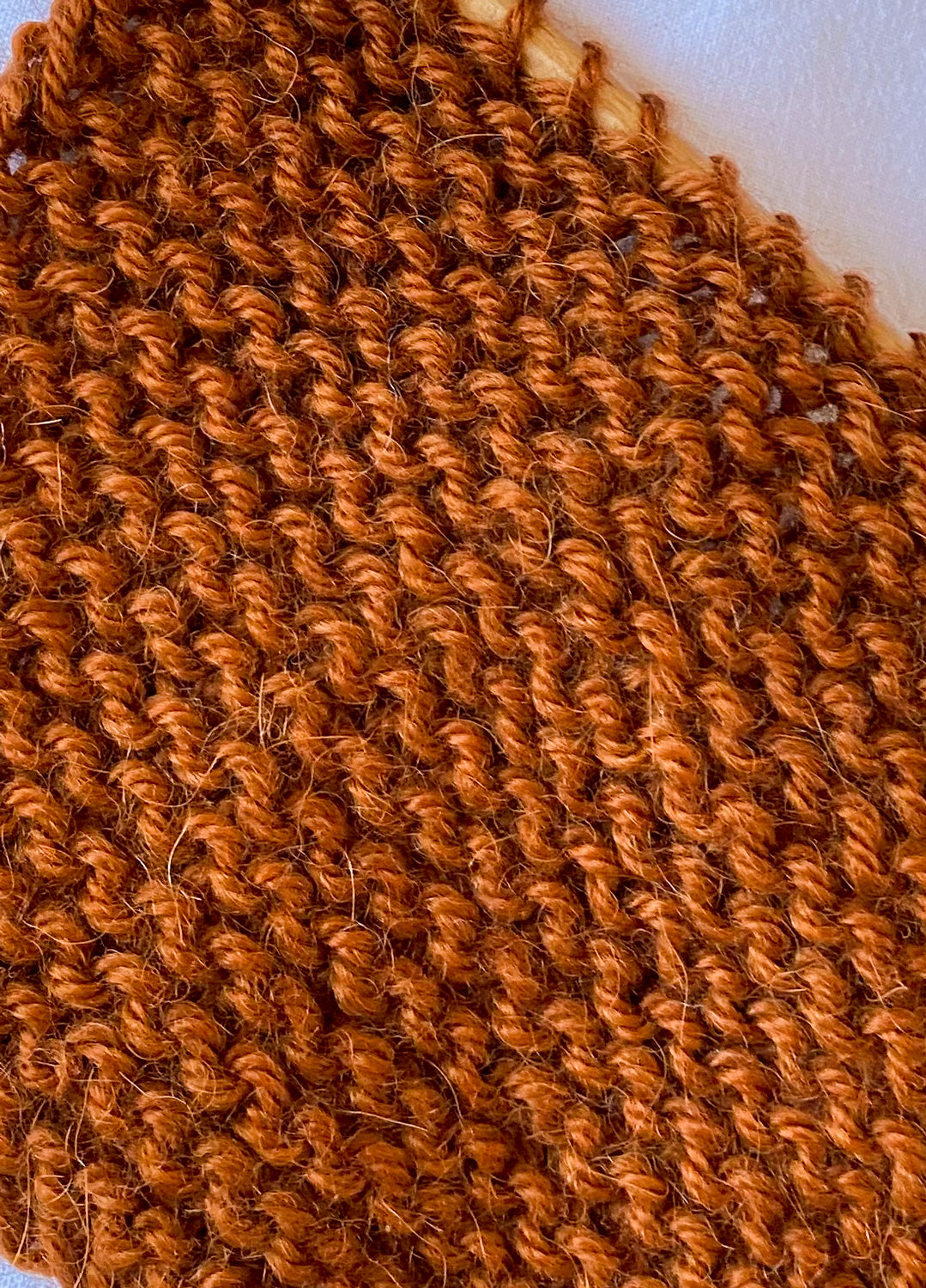 Baby Alpaca Cinnamon 4 Baby Alpaca Cinnamon