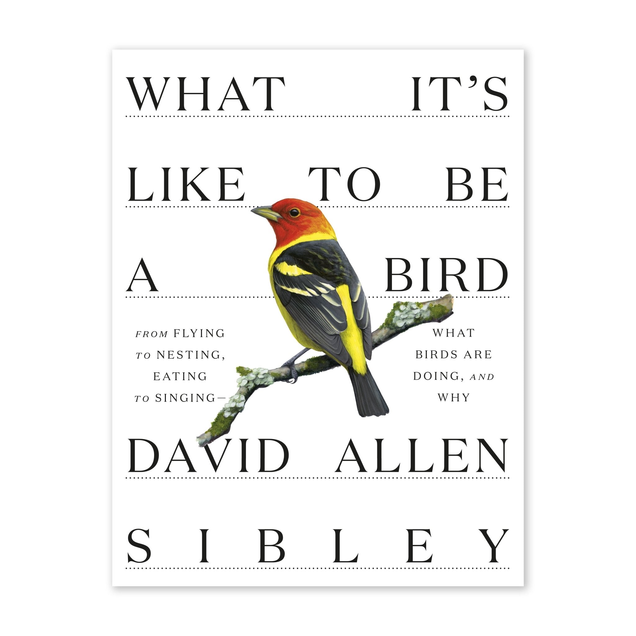 What It's Like to Be a Bird by David Allen Sibley 1 What It's Like to Be a Bird by David Allen Sibley