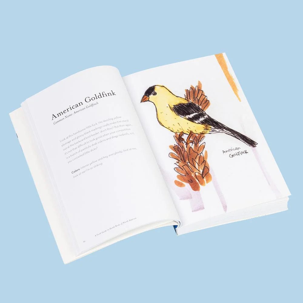 Field Guide to Dumb Birds of North America 3 Field Guide to Dumb Birds of North America