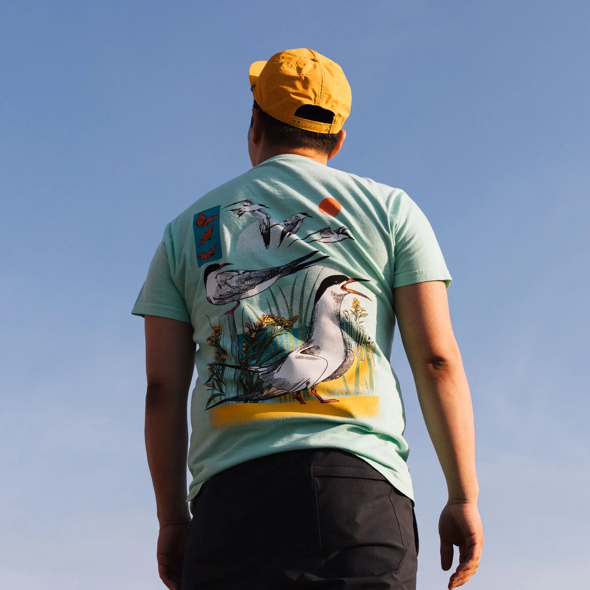 Terns of Great Gull Island T-Shirt 5 Terns of Great Gull Island T-Shirt