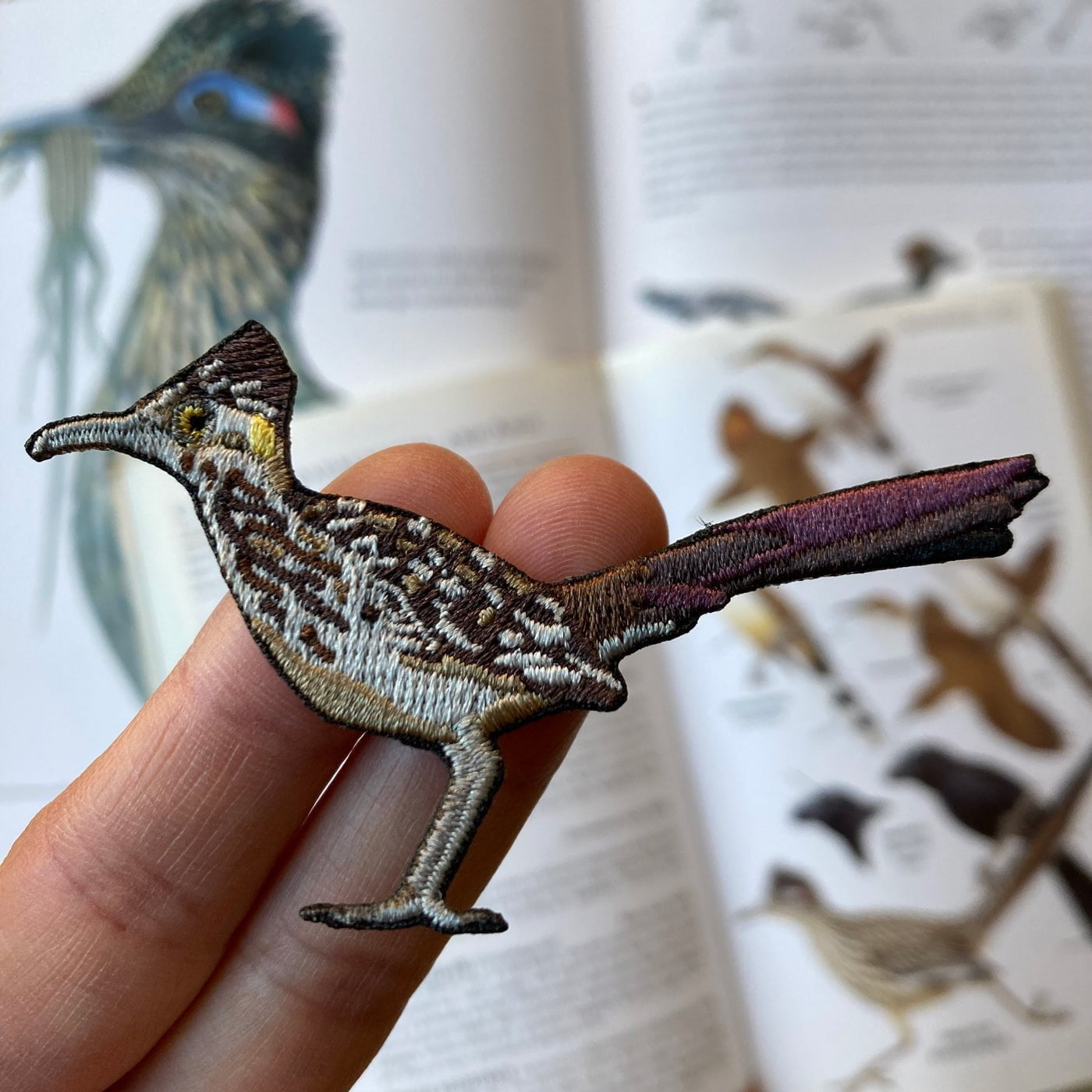 Greater Roadrunner Patch 2 Greater Roadrunner Patch