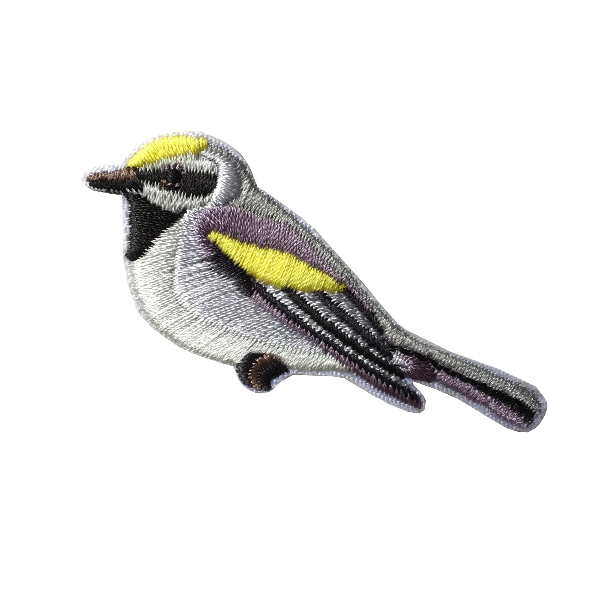 Golden-winged Warbler Patch 1 Golden-winged Warbler Patch