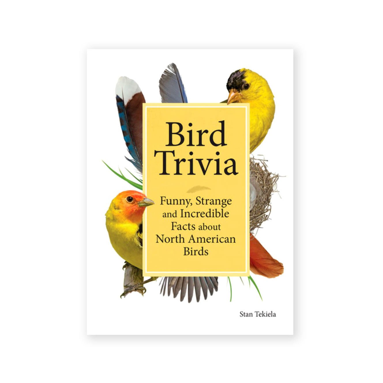 Bird Trivia