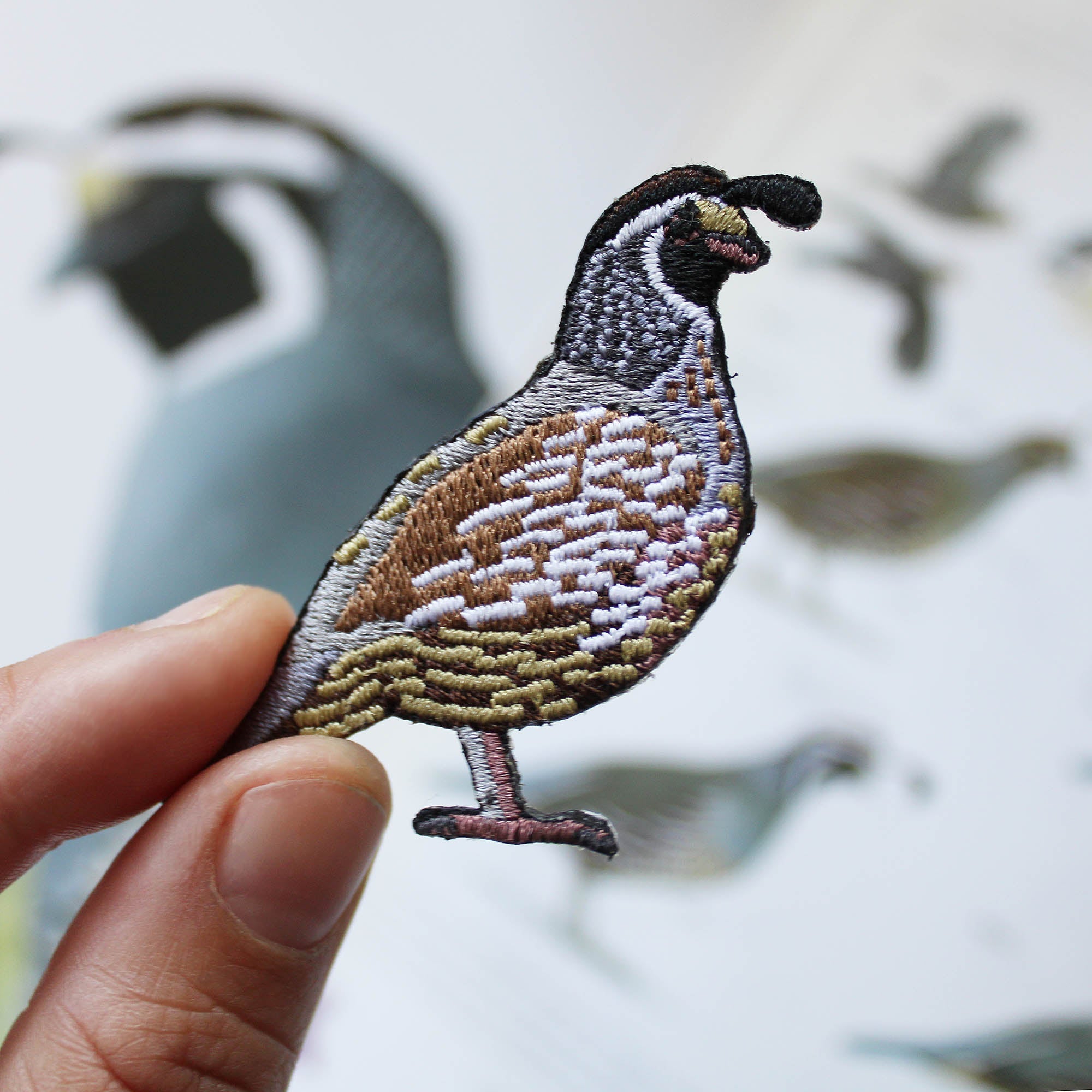 California Quail Patch 2 California Quail Patch