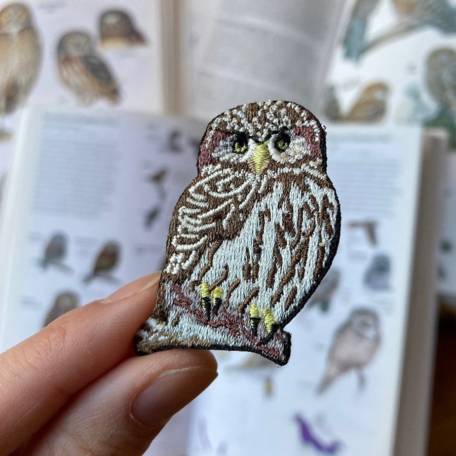 Northern Pygmy-Owl Patch 2 Northern Pygmy-Owl Patch