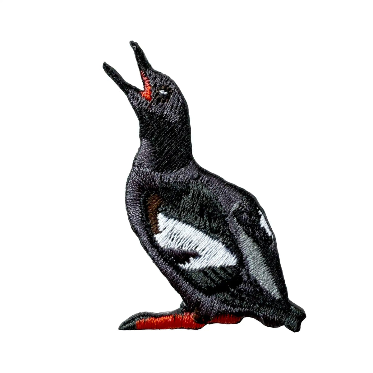 Pigeon Guillemot Patch