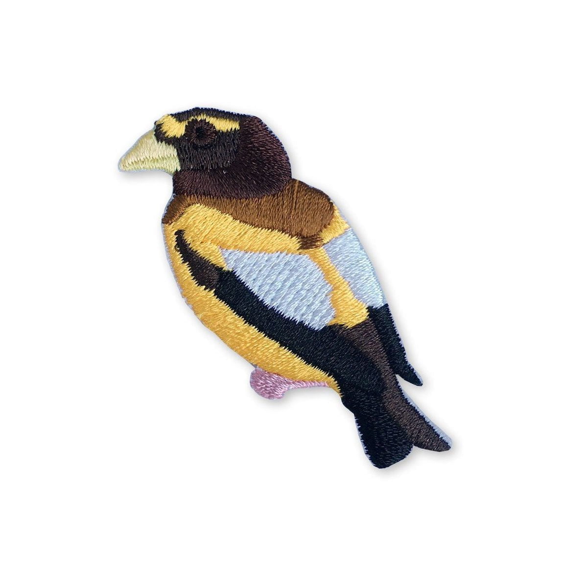 Evening Grosbeak Patch