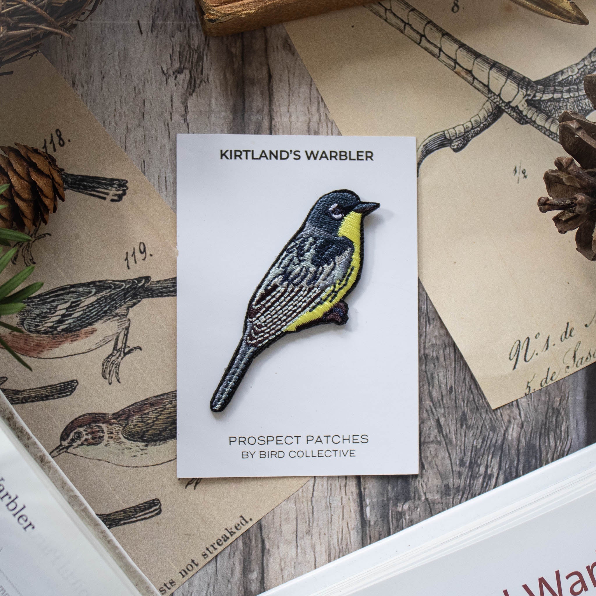 Kirtland's Warbler Patch 3 Kirtland's Warbler Patch