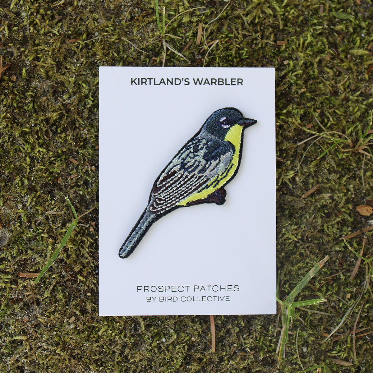 Kirtland's Warbler Patch 4 Kirtland's Warbler Patch