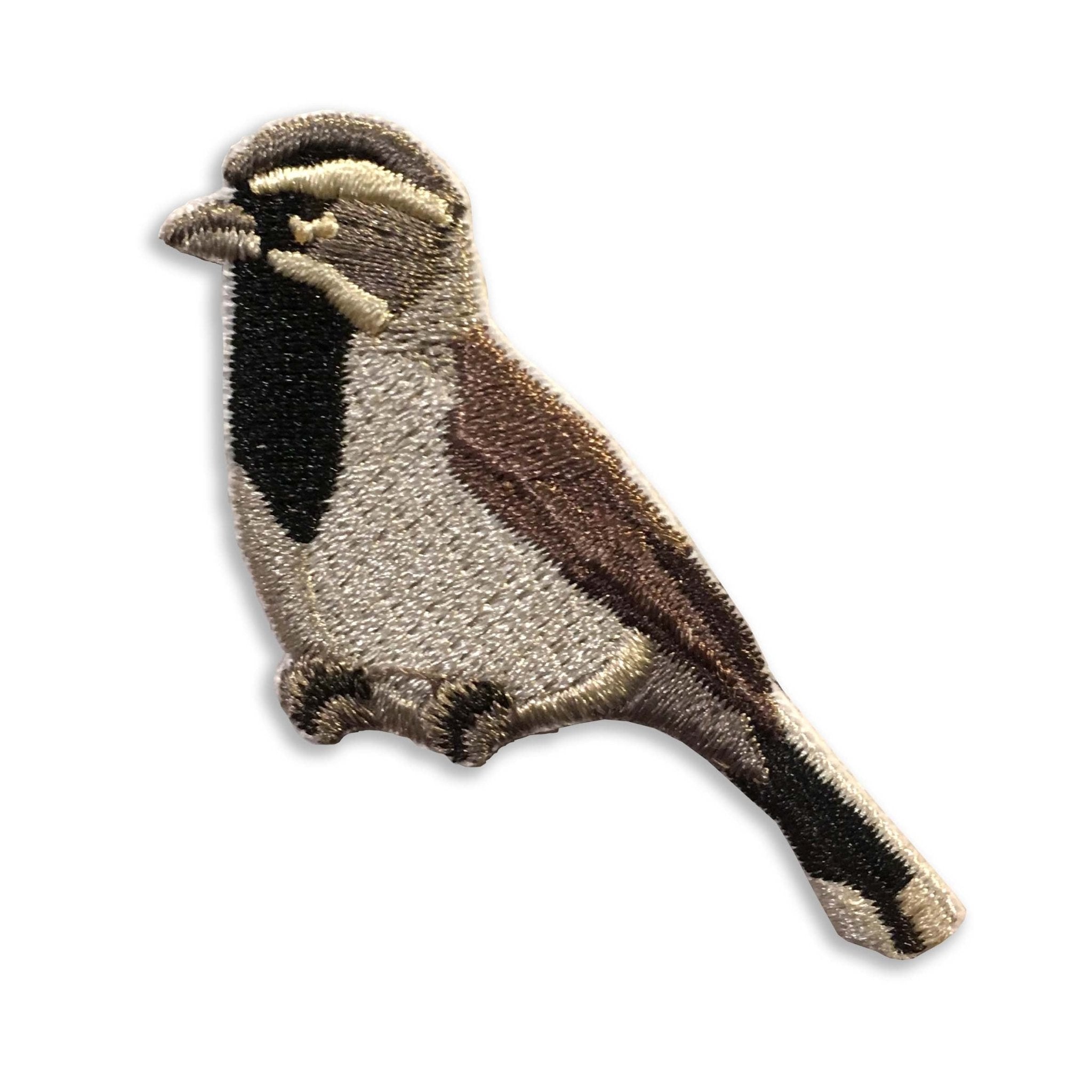 Black-throated Sparrow Patch 1 Black-throated Sparrow Patch